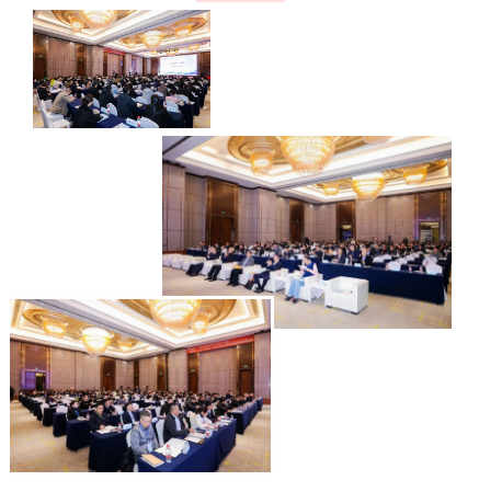 1735278941271205.png 1735278930101.png